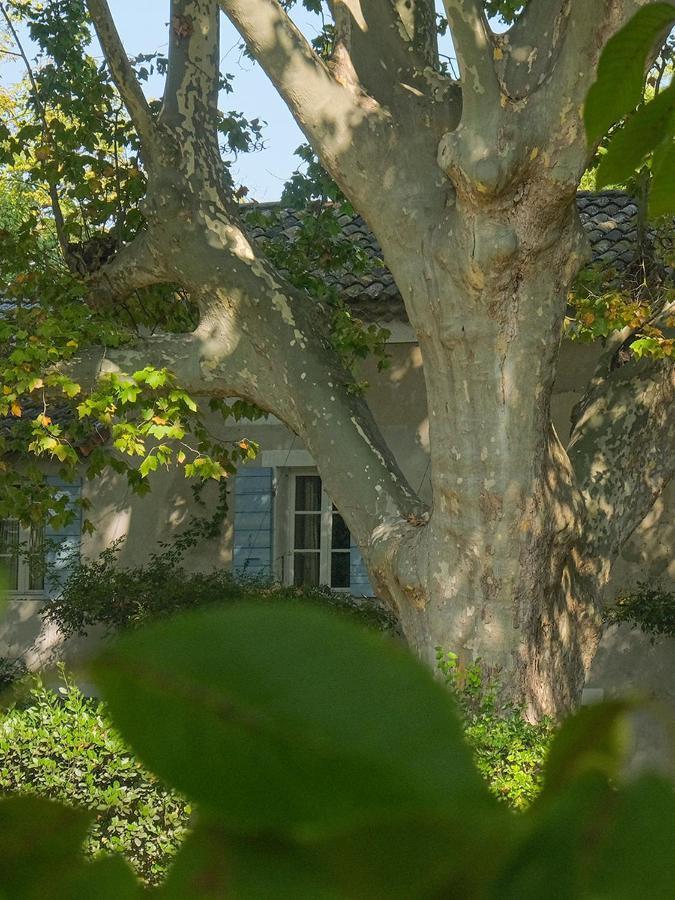 Bed and Breakfast Montjoia LʼIsle-sur-la-Sorgue Exteriér fotografie