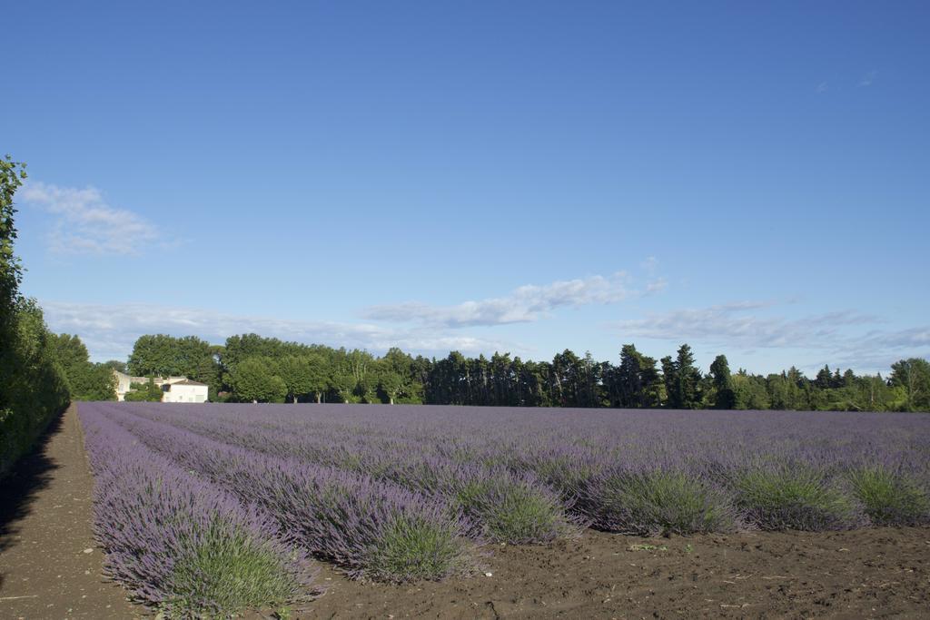 Bed and Breakfast Montjoia LʼIsle-sur-la-Sorgue Exteriér fotografie