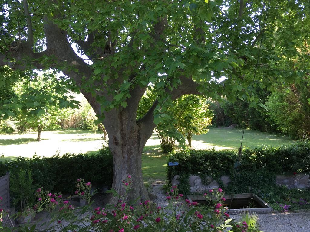 Bed and Breakfast Montjoia LʼIsle-sur-la-Sorgue Exteriér fotografie